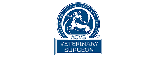 ACVS Logo
