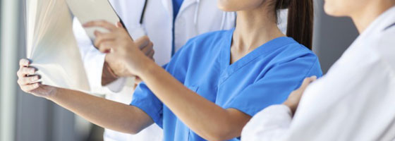 Vet Team